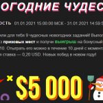 НОВОГОДНИЕ ЧУДЕСА BOOI