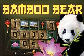 Bamboo Bear