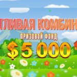 СЧАСТЛИВАЯ КОМБИНАЦИЯ BOOI
