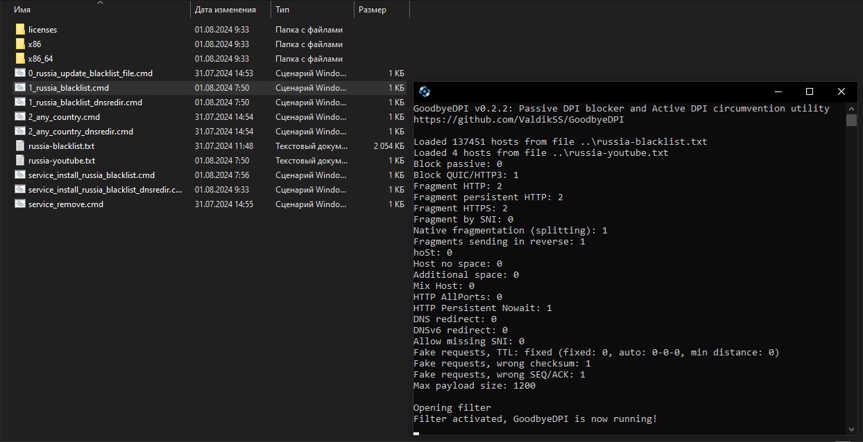 запущенная программа GoodbyeDPI