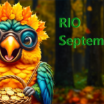 Календарь RIO-активностей сентябрь 2026